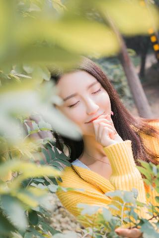 芳草地电影免费观看