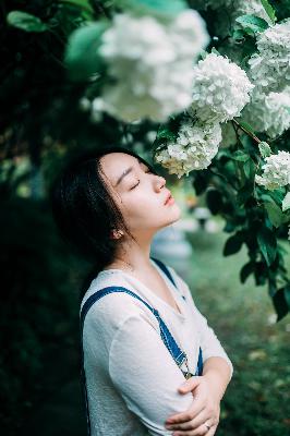 丁香花在线电影电视剧